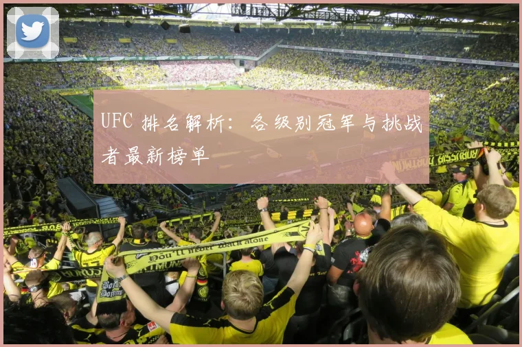 UFC 排名解析：各级别冠军与挑战者最新榜单